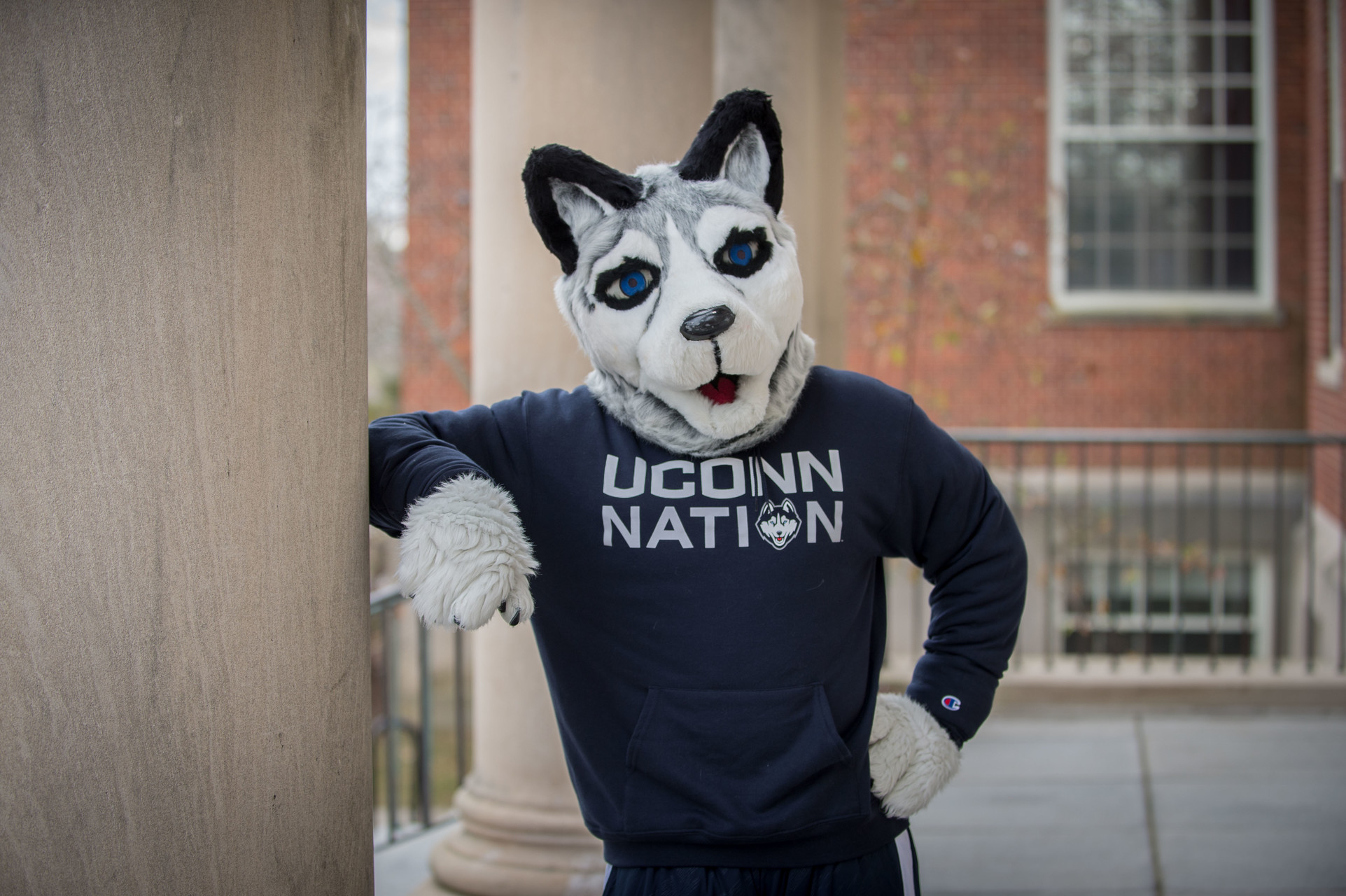 Jonathan Husky Mascot in navy blue UConn Nation Shirt