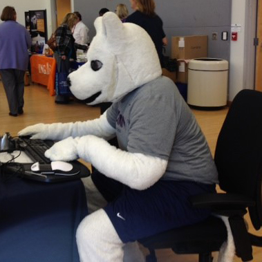 Husky mascot sitting typing at a computer